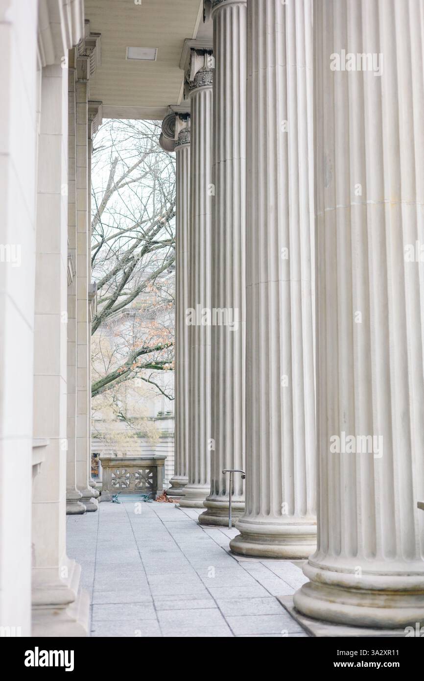 Elegante Steinsäulen mit einem Baum im Hintergrund. Stockfoto