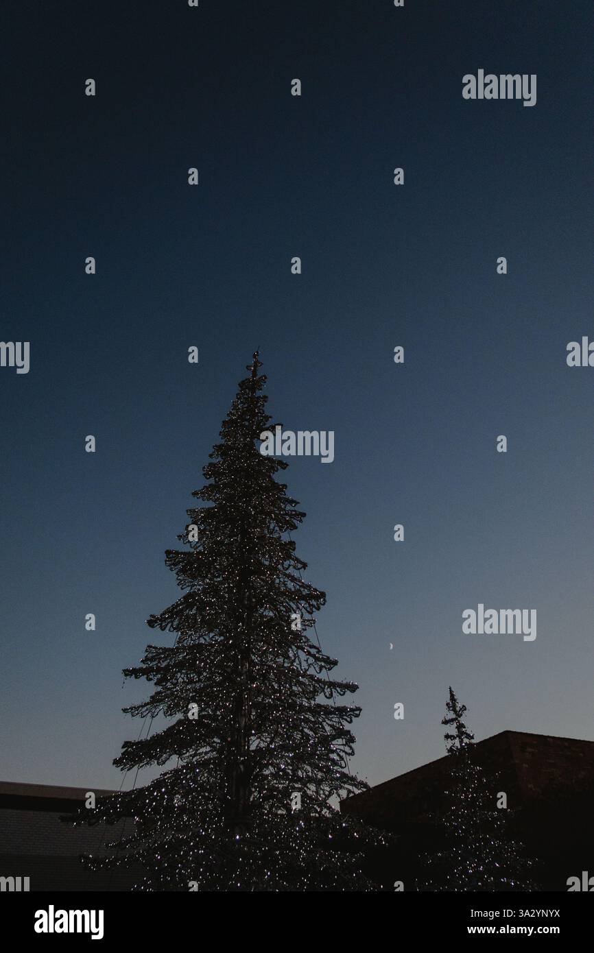 Weihnachtsbaum mit Lichterketten und Mondsichel im Hintergrund Stockfoto