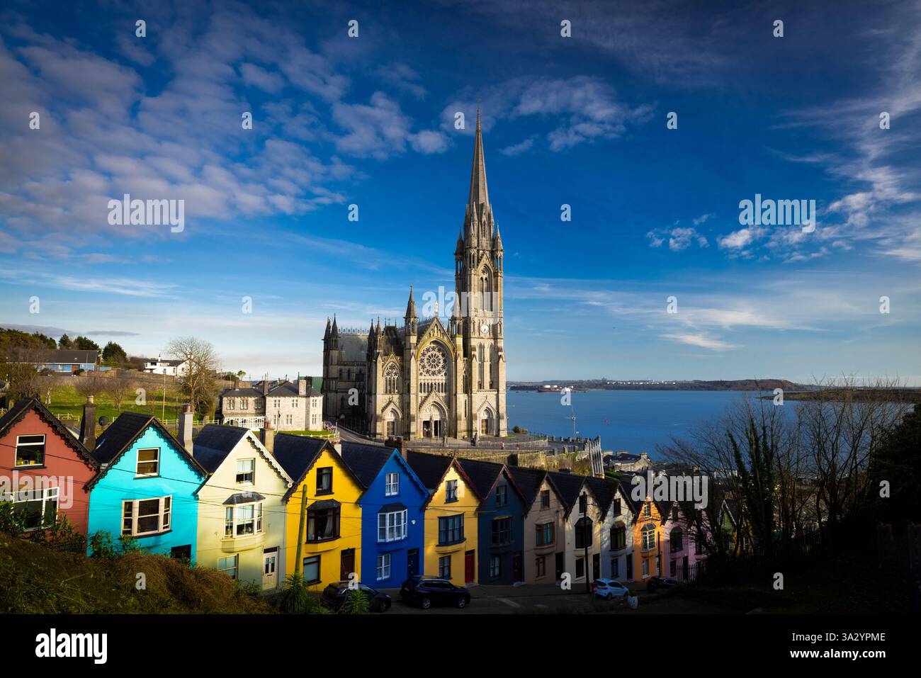 Cobh, Irland - 6. März 2025 - Saint Colmans Cathedral und farbenfrohe Häuser auf West View Stockfoto