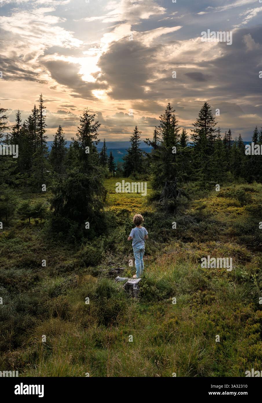 Ein barfuß stehender Junge genießt die Schönheit des üppigen Waldes in Lillehammer, Norwegen, umgeben von hohen Bäumen und einem atemberaubenden Sommerhimmel bei Sonnenuntergang Stockfoto