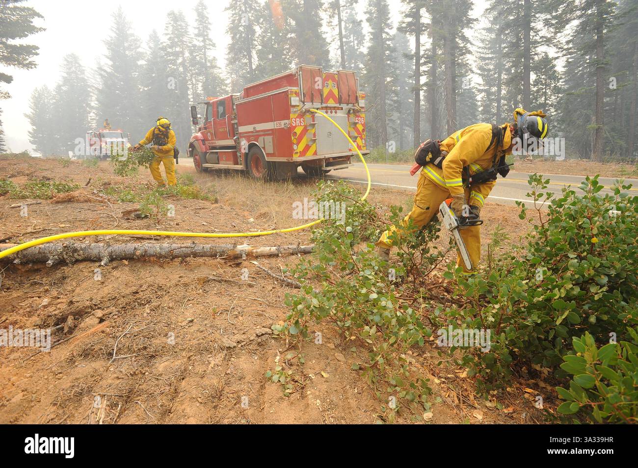 22. September 2014 – DIE FEUERWEHR schneidet die Bürste am Straßenrand ab, um das King Fire davon abzuhalten, die Wentworth Springs Road im Eldorado National Forest zu überqueren. "Jedes bisschen hilft", sagte ein Feuerwehrmann. Bergdemokraten Foto von Krysten Kellum (Foto: © Mountain Democrat/ZUMA Wire) Stockfoto