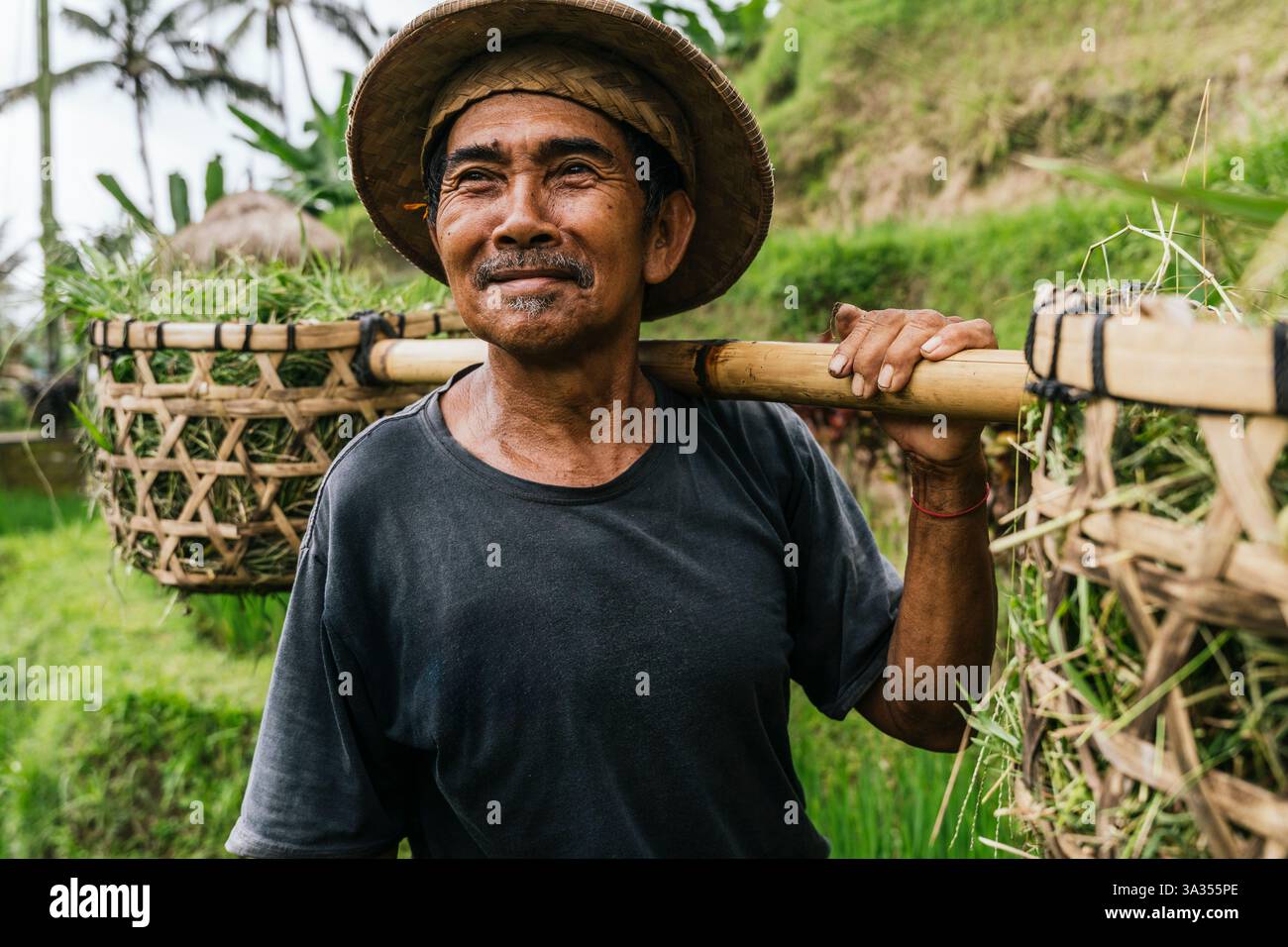 Ein lächelnder balinesischer Mann mit traditionellem Hut trägt traditionelle Erntewerkzeuge auf einem üppigen, grünen Reisfeld in Bali, Indonesien, mit einem smi Stockfoto