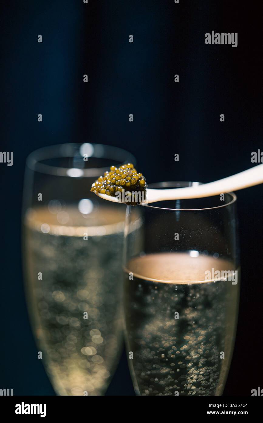Eine Nahaufnahme, in der Beluga-Kaviar auf einem Löffel festgehalten wird, der über zwei sprudelnden Gläsern Champagner vor dunklem Hintergrund nebeneinander steht Stockfoto