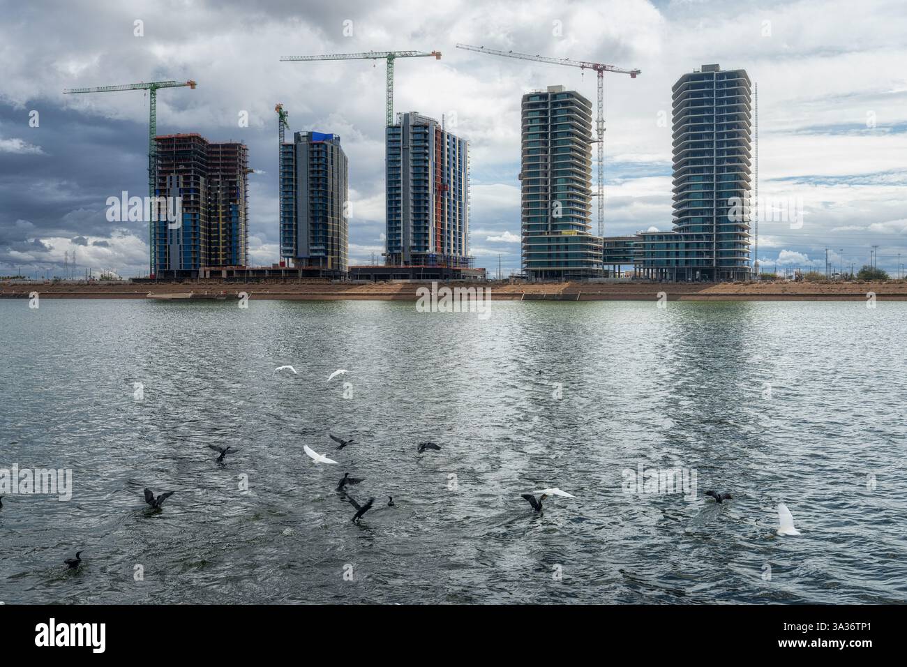 Neue Wohngebäude werden im Bau am Tempe Town Lake in Tempe, Arizona. Stockfoto