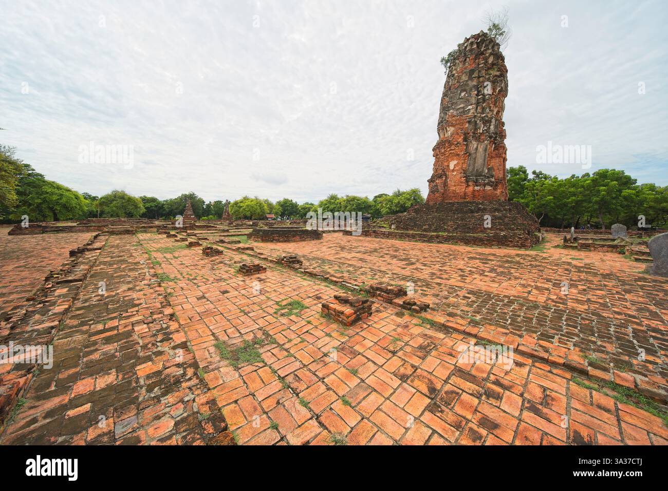 Wat Lokayasutharam in Ayutthaya, Thailand. Stockfoto