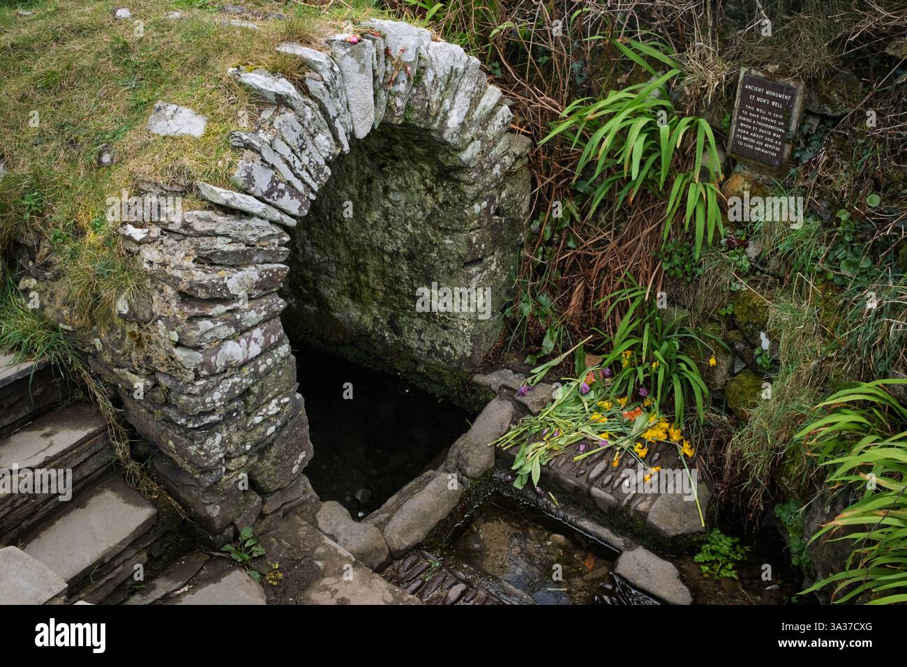Stätte der St. Non's Chapel und des Heiligen Brunnens, Pembrokeshire Stockfoto