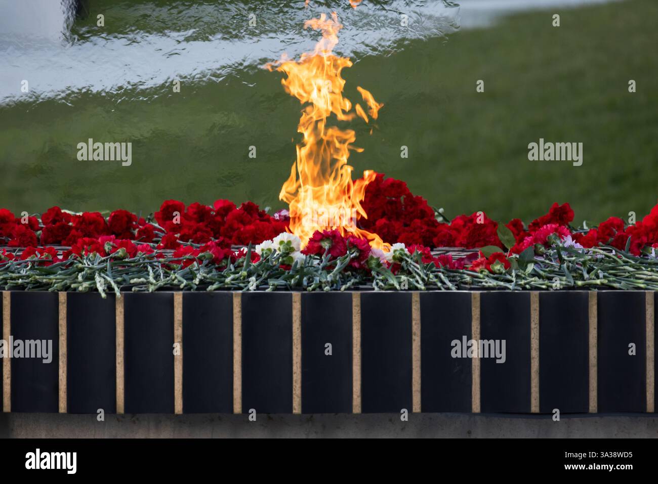 Die ewige Flamme brennt hell mit roten Blumen, die als Hommage an die Erinnerung an die Ehre dienen Stockfoto