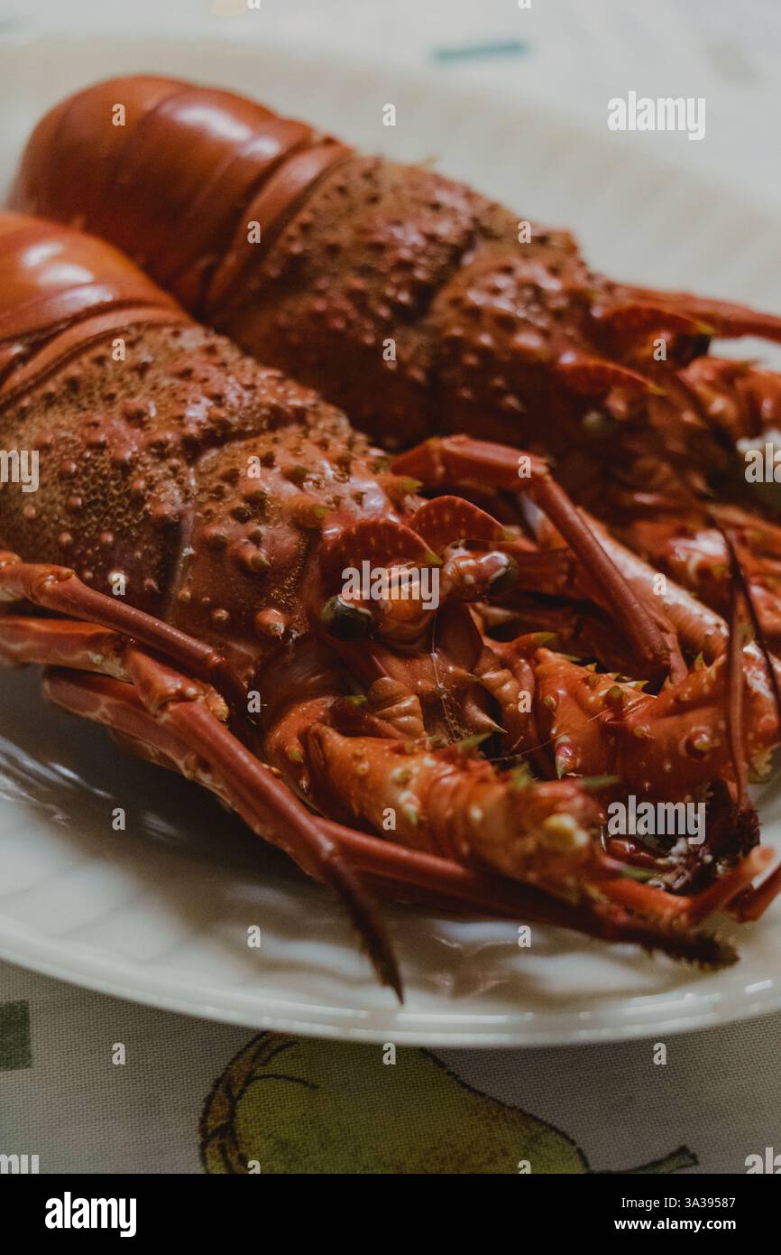 Gekochter Hummer auf einem Teller serviert Stockfoto