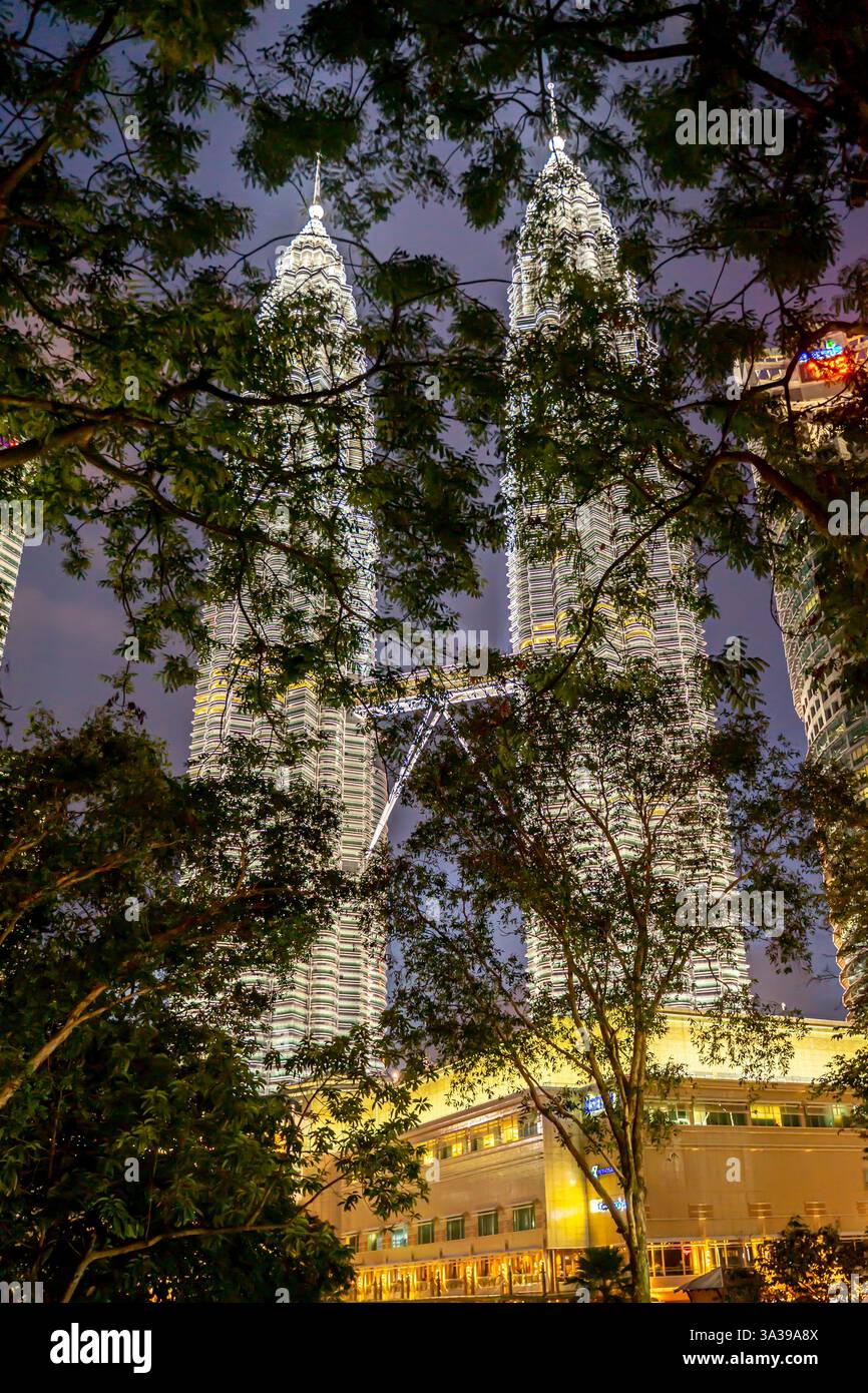Blick durch die Äste der Petronas Twin Towers in Kuala Lumpur, Malaysia, bei Nacht. Die Türme sind beleuchtet, Stockfoto
