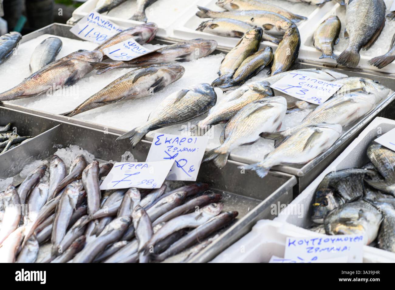 Ein lebhafter Fischmarkt unter freiem Himmel in Griechenland, der vom Duft des Meeres erfüllt ist, wo lokale Fischer frische Fänge anbieten – schimmernde Fische Stockfoto