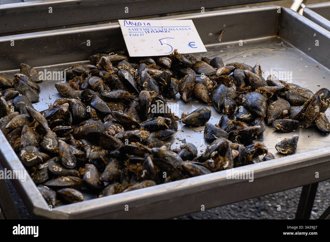 Ein lebhafter Fischmarkt unter freiem Himmel in Griechenland, der vom Duft des Meeres erfüllt ist, wo lokale Fischer frische Fänge anbieten – schimmernde Fische Stockfoto