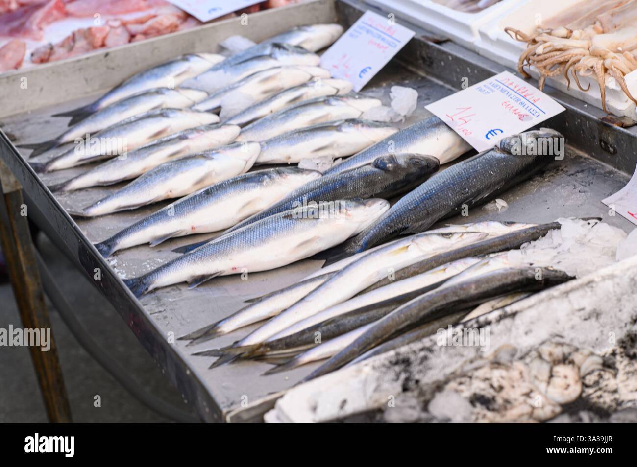Ein lebhafter Fischmarkt unter freiem Himmel in Griechenland, der vom Duft des Meeres erfüllt ist, wo lokale Fischer frische Fänge anbieten – schimmernde Fische Stockfoto