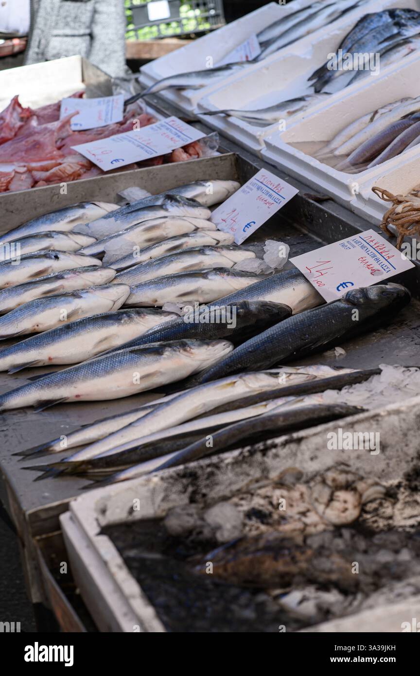 Ein lebhafter Fischmarkt unter freiem Himmel in Griechenland, der vom Duft des Meeres erfüllt ist, wo lokale Fischer frische Fänge anbieten – schimmernde Fische Stockfoto