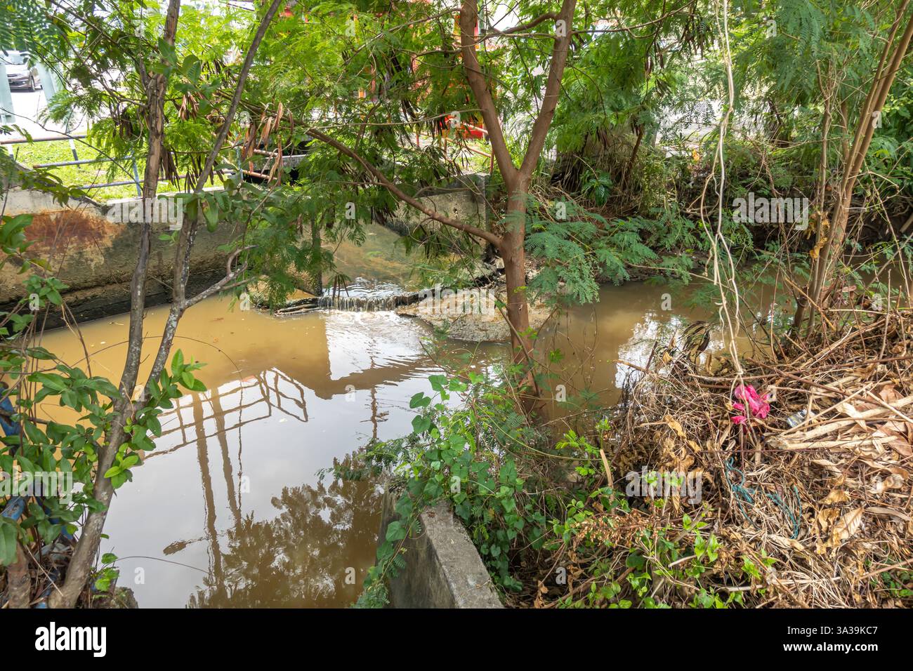 Schmutziges trübes Wasser, Kanal, umgeben von üppigem Grün, Wasser, Bäumen, Vegetation und das Wasser, das die Umgebung reflektiert. Stockfoto