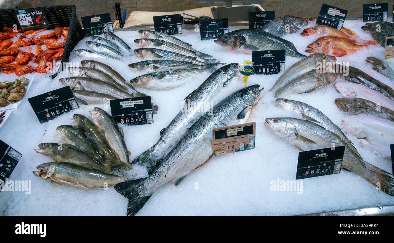 09-02-2022 Französische Riviera FR verschiedene Fischarten, die auf Eis an einem Stand auf einem traditionellen Markt an der französischen Riviera gekühlt werden Stockfoto