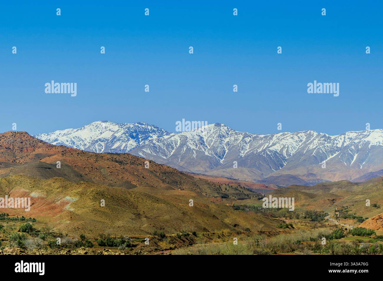 Schneebedecktes Atlasgebirge und Kiefernwald zwischen Marrakesch und Ouarzazate Stockfoto