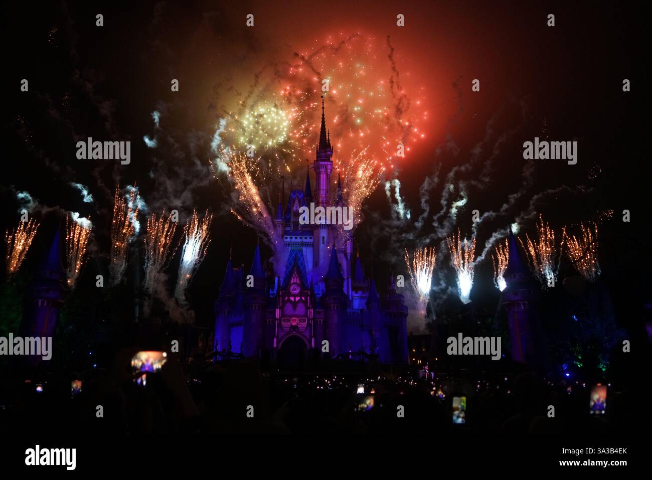 Magic Kingdom Fireworks Show 3 Stockfoto