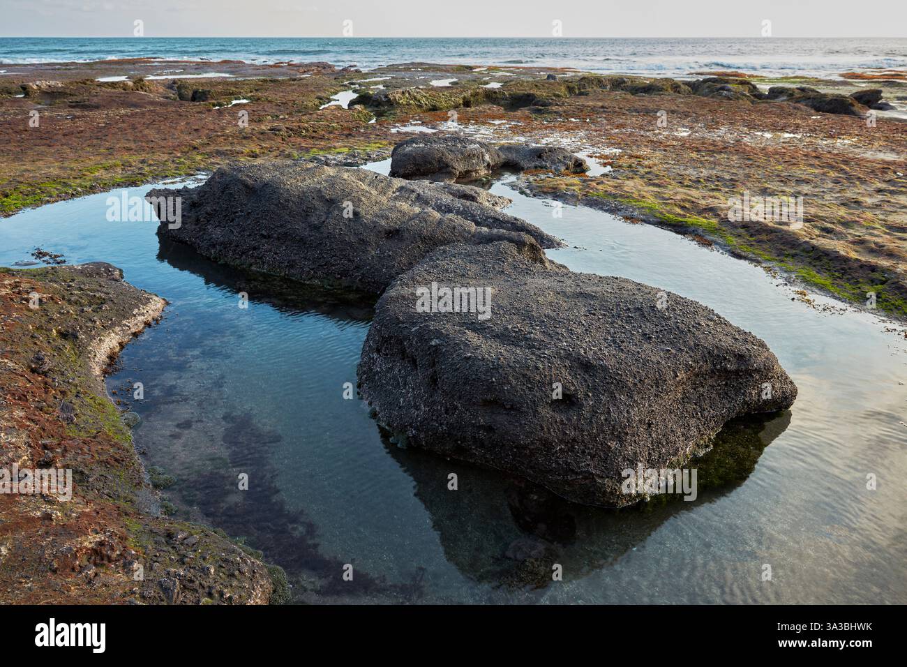 Zwei schwarze Felsen liegen in einem flachen Gezeitenbecken an einem felsigen Strand bei Ebbe. Tanah Lot, Bali, Indonesien. Stockfoto