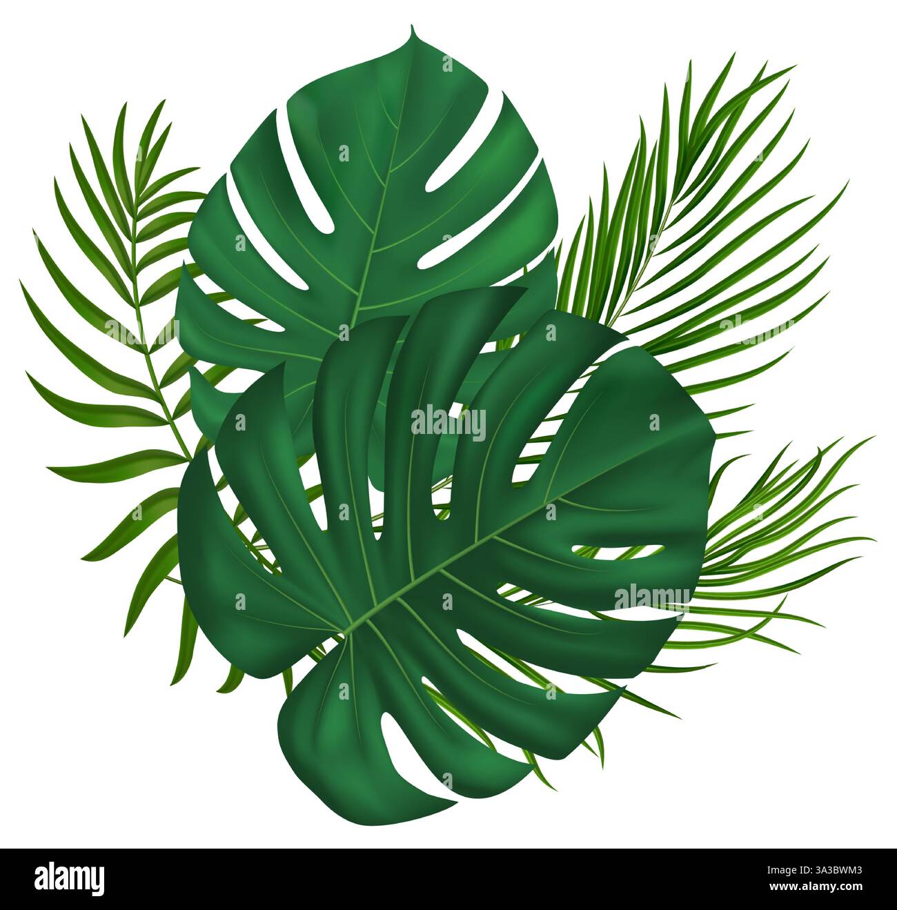Üppige Palmblätter im Sommer. Für Öko-Designs, Reiseanzeigen, Veranstaltungsdekorationen, botanische Drucke, Sommer-Marketingmaterialien. Vektorabbildung Stock Vektor