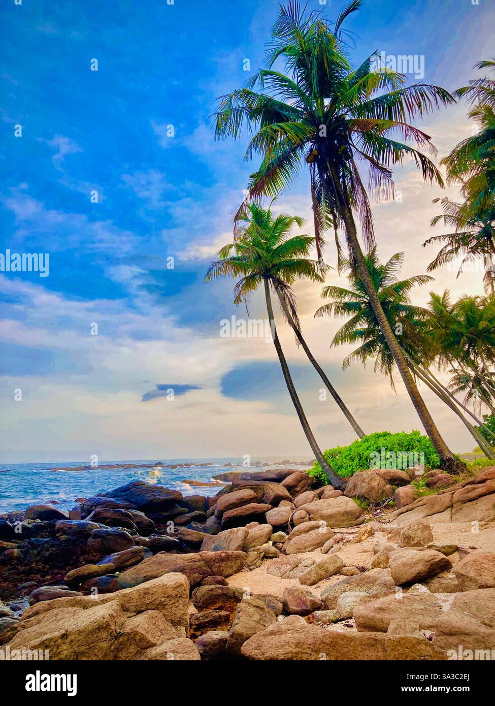 Tropische Küste mit Felsen am Strand und Kokospalmen, DownSouth, Sri Lanka. - Smartphone-aufgenommenes Stockfoto