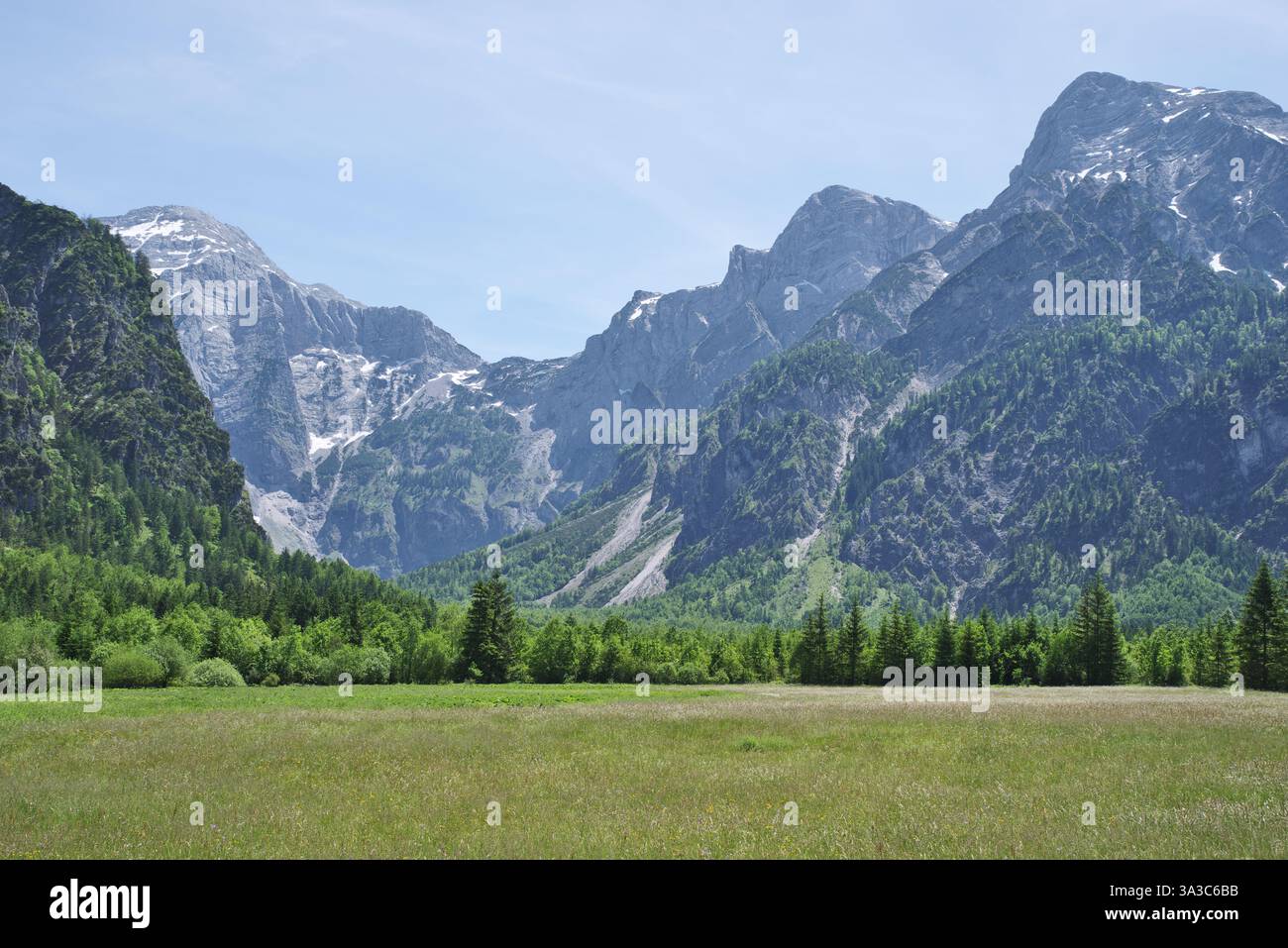 Sonnige Gebirgslandschaft vom Almsee bis zum toten Gebirge vor blauem Himmel, mit grünen Wiesen und Bäumen im Vordergrund. Stockfoto