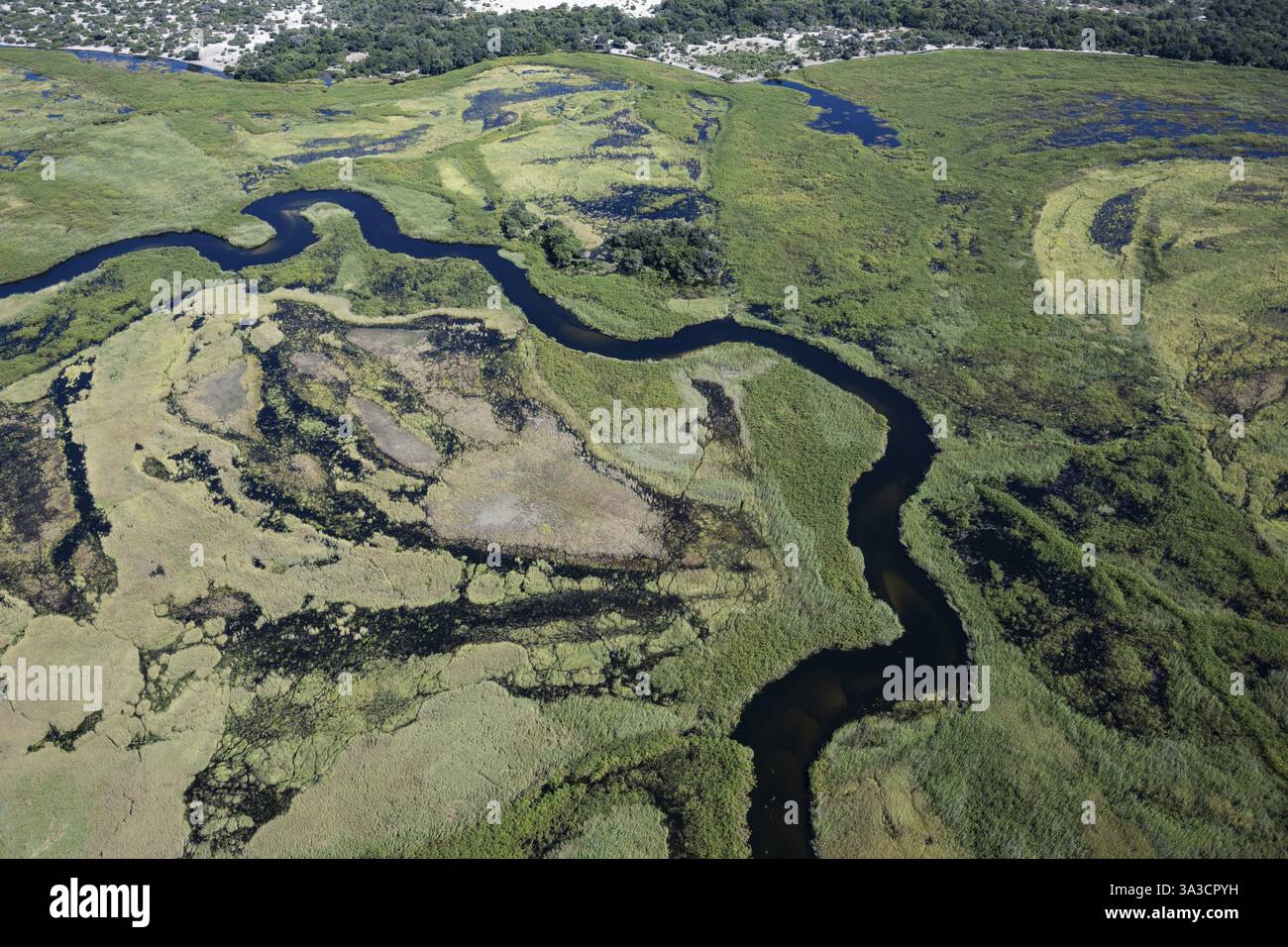 Okawango Delta Pan Stil, mäandernde Strecken des Okawango River, Luftsicht, Botswana, Afrika Stockfoto