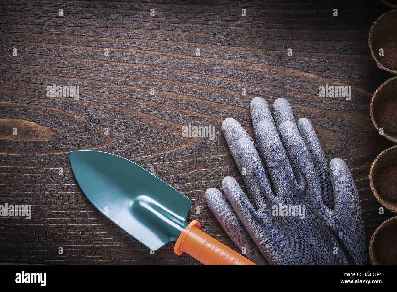 Holzbrett mit Schutzhandschuhen verschiedene Torftöpfe und Gartenarbeit Handspaten Landwirtschaftskonzept Stockfoto