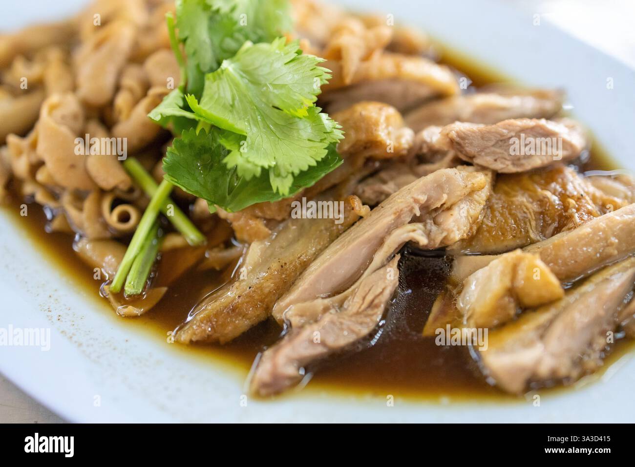 Enteneintopf in einer Sojasauce-Brühe mit einer Mischung aus Kräutern gekocht Stockfoto