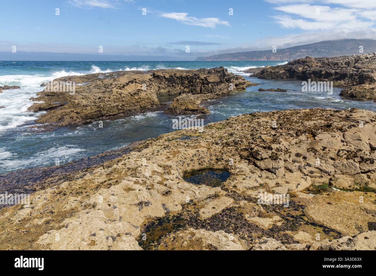 Felsküste mit dem atlantik und mit Bergen im Hintergrund in Cascais Portugal. Stockfoto