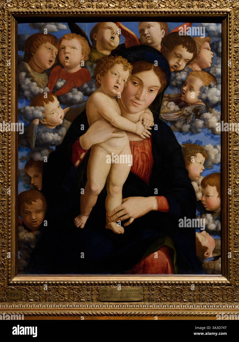Andrea Mantegna (1431–1506), Madonna und Kind mit einem Chor von Cherubim (Madonna der Cherubim), ca. 1485. Madonna Col bambino e coro di cherubini Stockfoto
