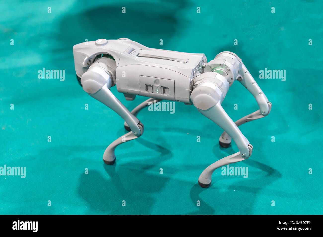 Grauer Militär-Roboterhund bei einer Demonstration mit grünem Hintergrund Stockfoto