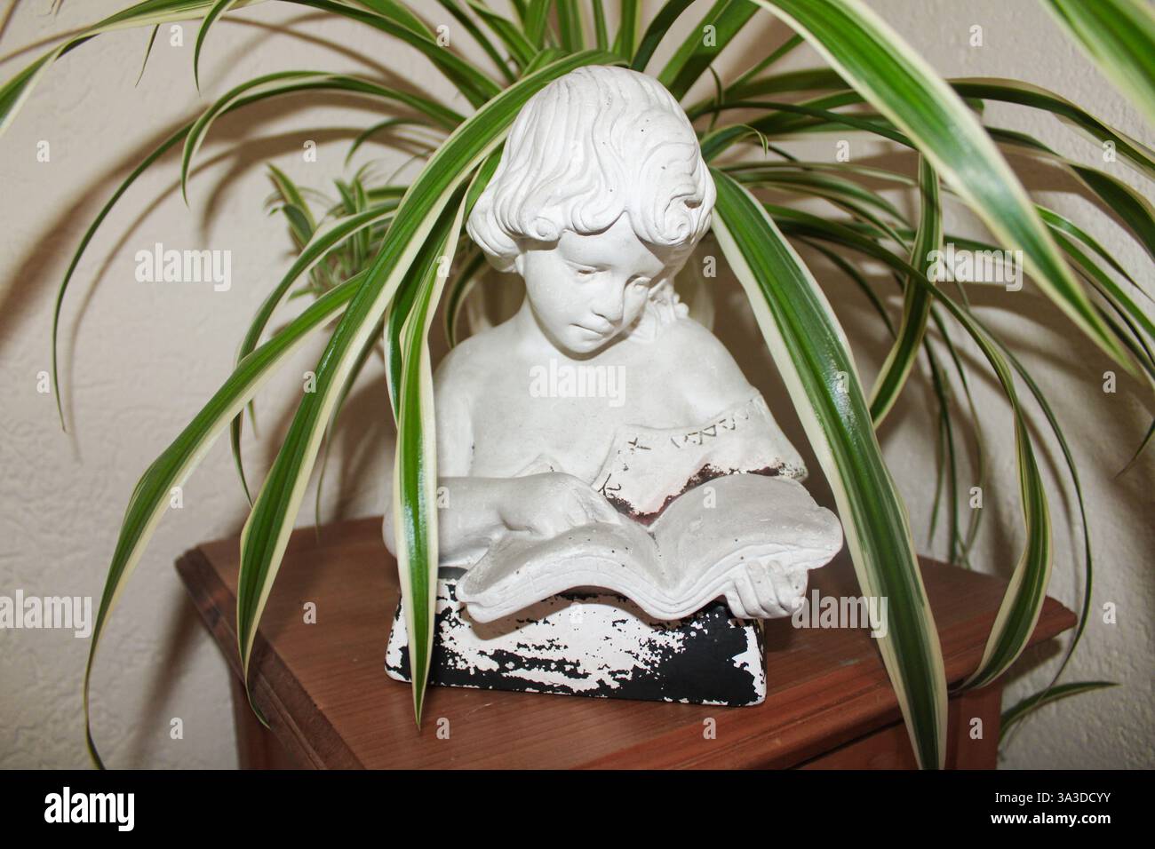 Die alte Statue eines lesenden Kindes verleiht der Inneneinrichtung mit klassischem Design und friedlichem Ambiente einen ruhigen und zeitlosen Charme. Stockfoto