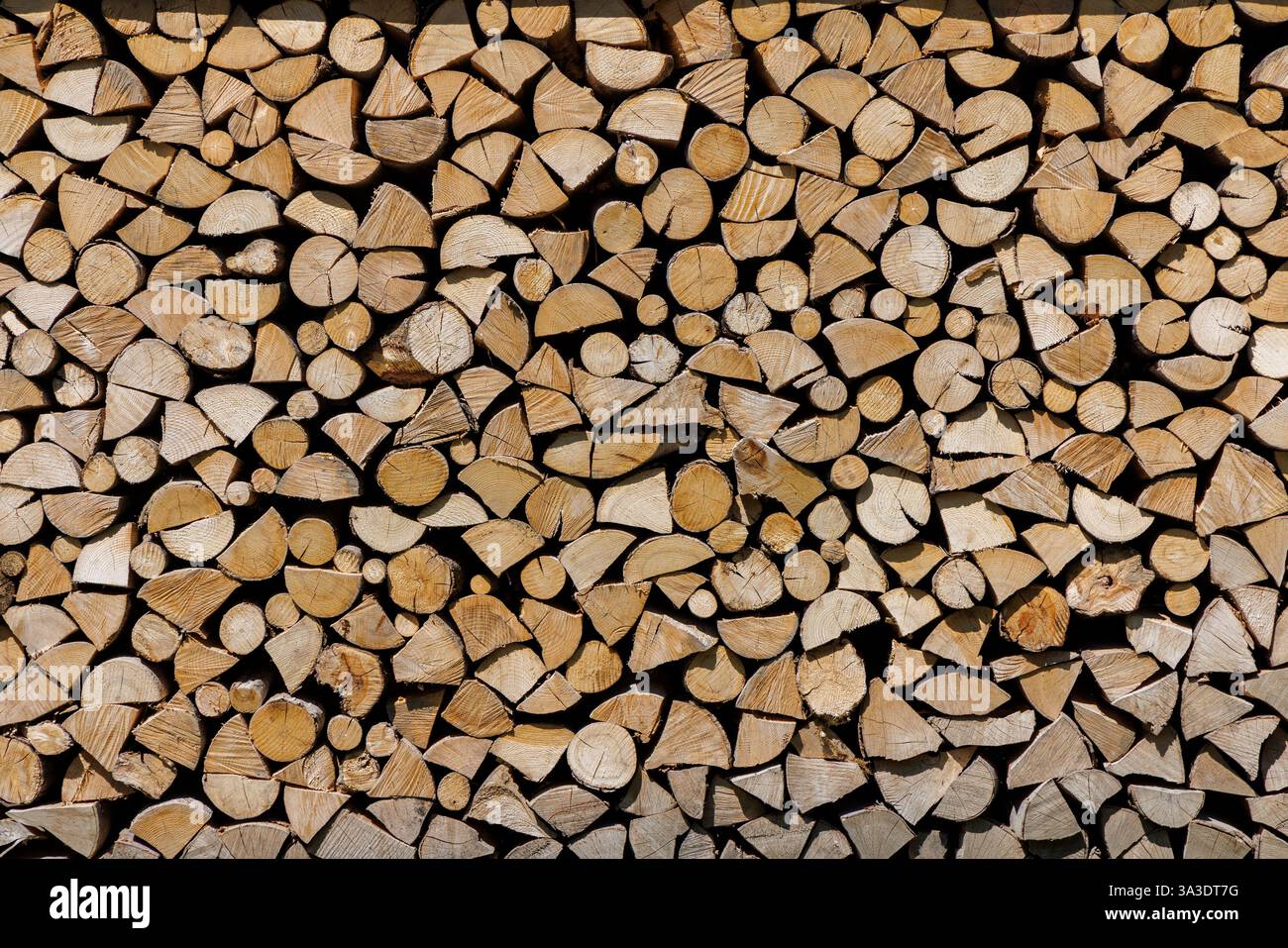 Holzladen für Feuer, Volksarchitektur Dorf Vlkolinec, Slowakei Stockfoto