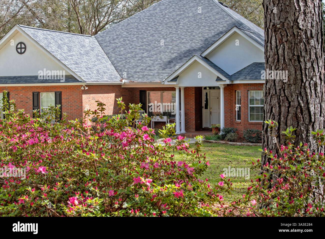 North Florida Wohnhaus aus Kolonialziegel, Frühlingszeit Azaleen in Blüte, schön angelegtes Anwesen. Stockfoto