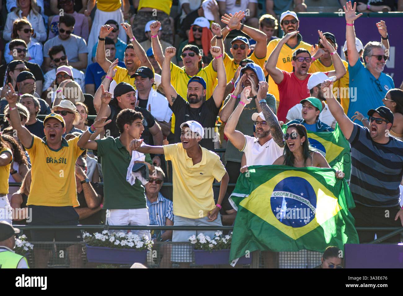 Brasilianische Tennisfans. Argentina Open 2025 Stockfoto