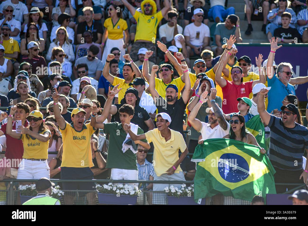 Brasilianische Tennisfans. Argentina Open 2025 Stockfoto