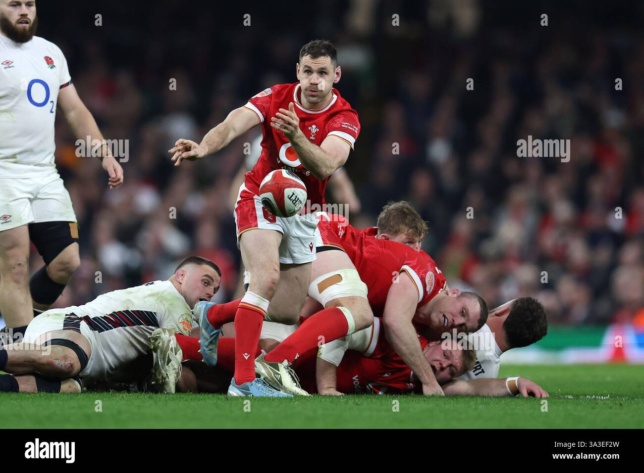 Cardiff, Großbritannien. März 2025. Tomos Williams aus Wales in Aktion. Guinness Six Nations Championship 2025 Match, Wales gegen England im Principality Stadium in Cardiff am Samstag, den 15. März 2025. bild von Andrew Orchard/Andrew Orchard Sportfotografie/Alamy Live News Credit: Andrew Orchard Sportfotografie/Alamy Live News Stockfoto