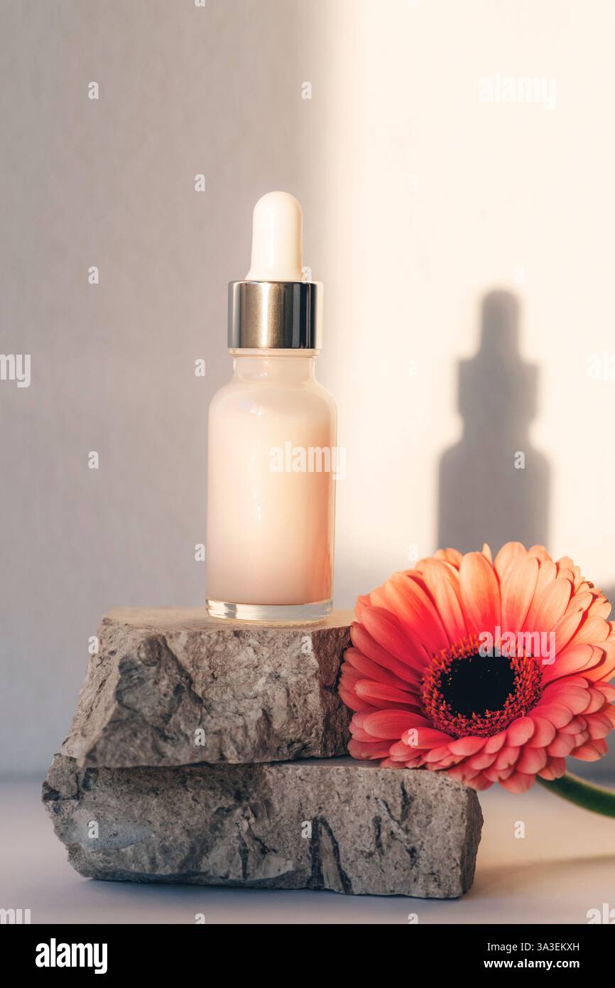 Tropfflasche aus Glas mit Serum auf Stein und rosa Gerbera-Blüte in weichem Licht. Naturkosmetik-Konzept. Nahaufnahme. Stockfoto