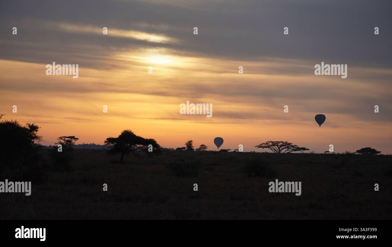 Ein ruhiger und schöner Sonnenaufgang über bunten Heißluftballons in der afrikanischen Savanna Serengeti Tansania Afrika Stockfoto