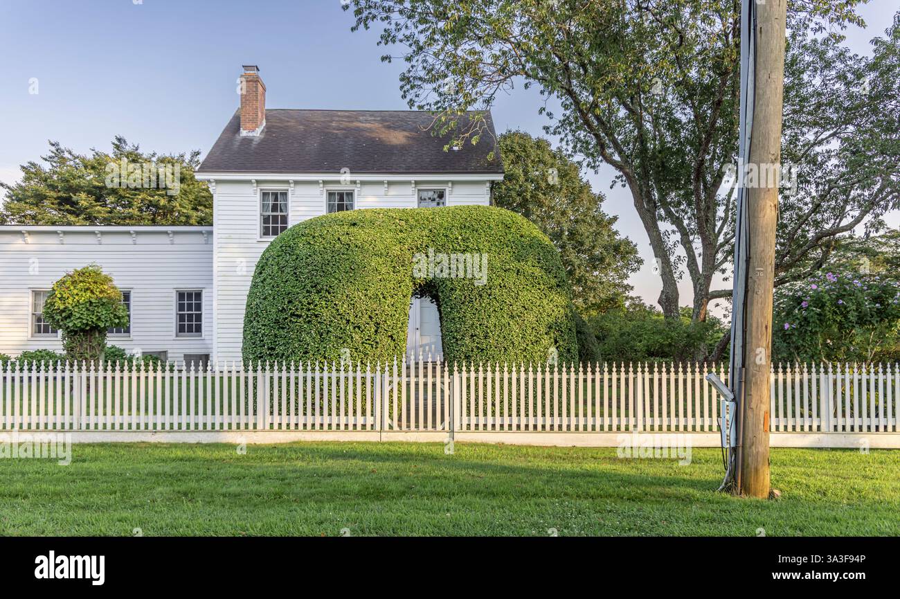 Große gepflegte Hecke mit kleiner Öffnung vor einem alten Haus Stockfoto