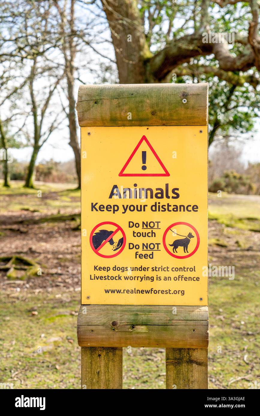 Schild, das die Öffentlichkeit warnt, Tiere im New Forest nicht zu füttern oder zu berühren. Stockfoto