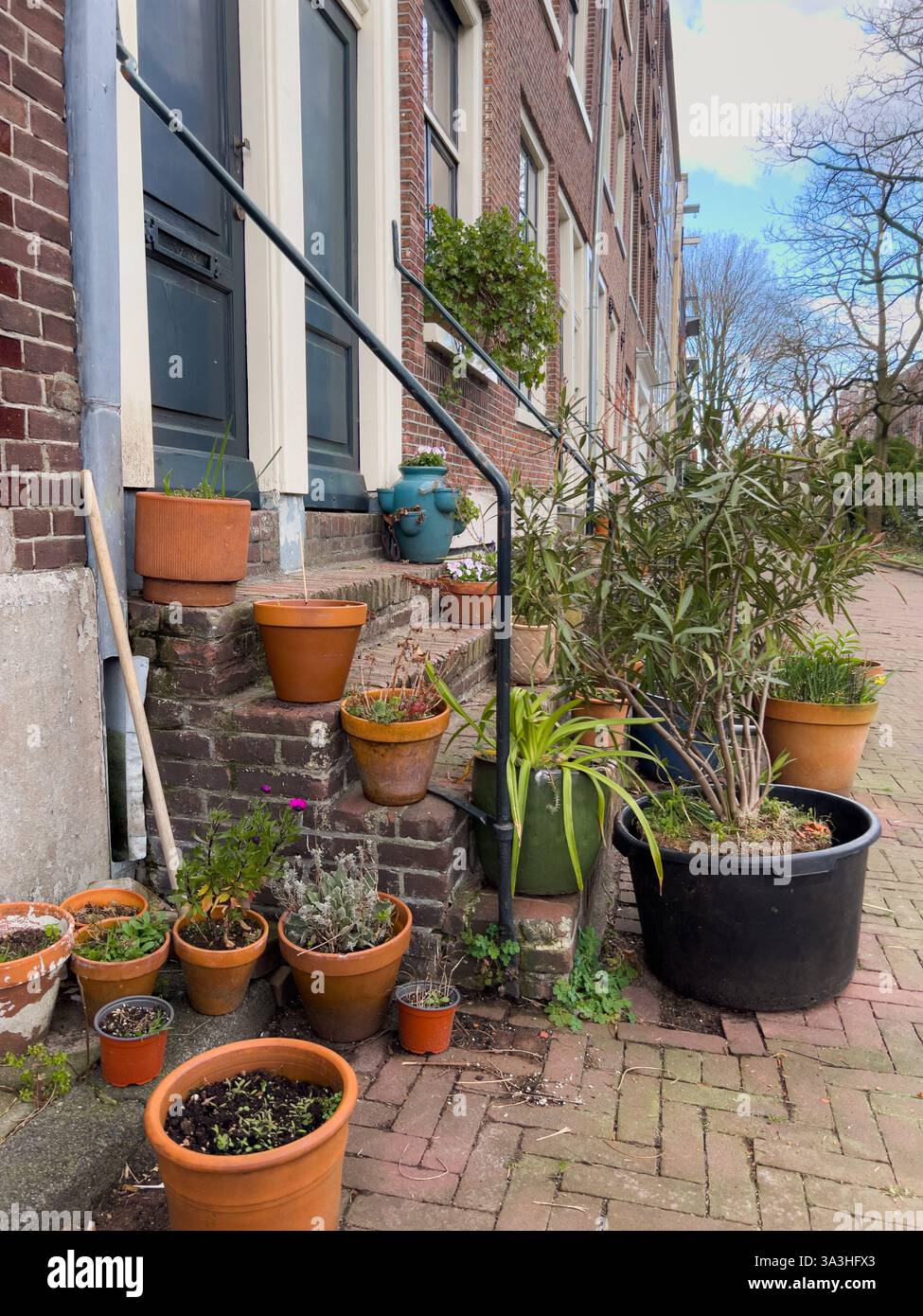 Blumentöpfe auf treppen -Fotos und -Bildmaterial in hoher Auflösung – Alamy