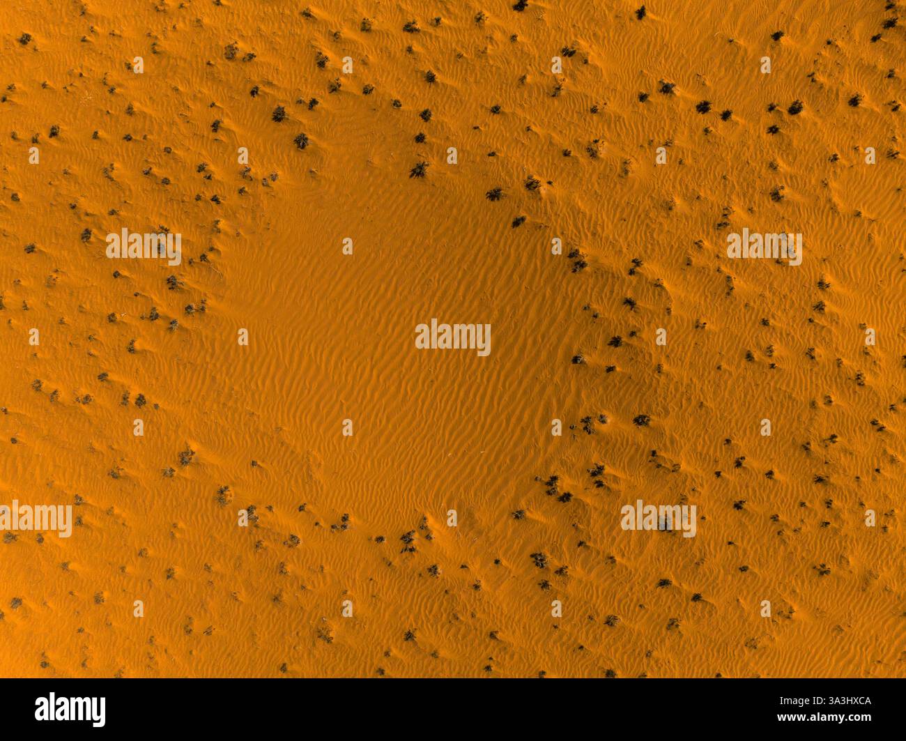 Feenkreis - Feenring - in orange Sand, Namibia Stockfoto