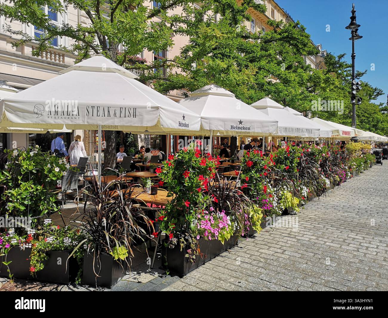 Essen im Freien im Sommer im Restaurant Amalia Steak and Fish auf dem Hauptmarkt in Krakau Polen namens Rynek Główny. Stockfoto