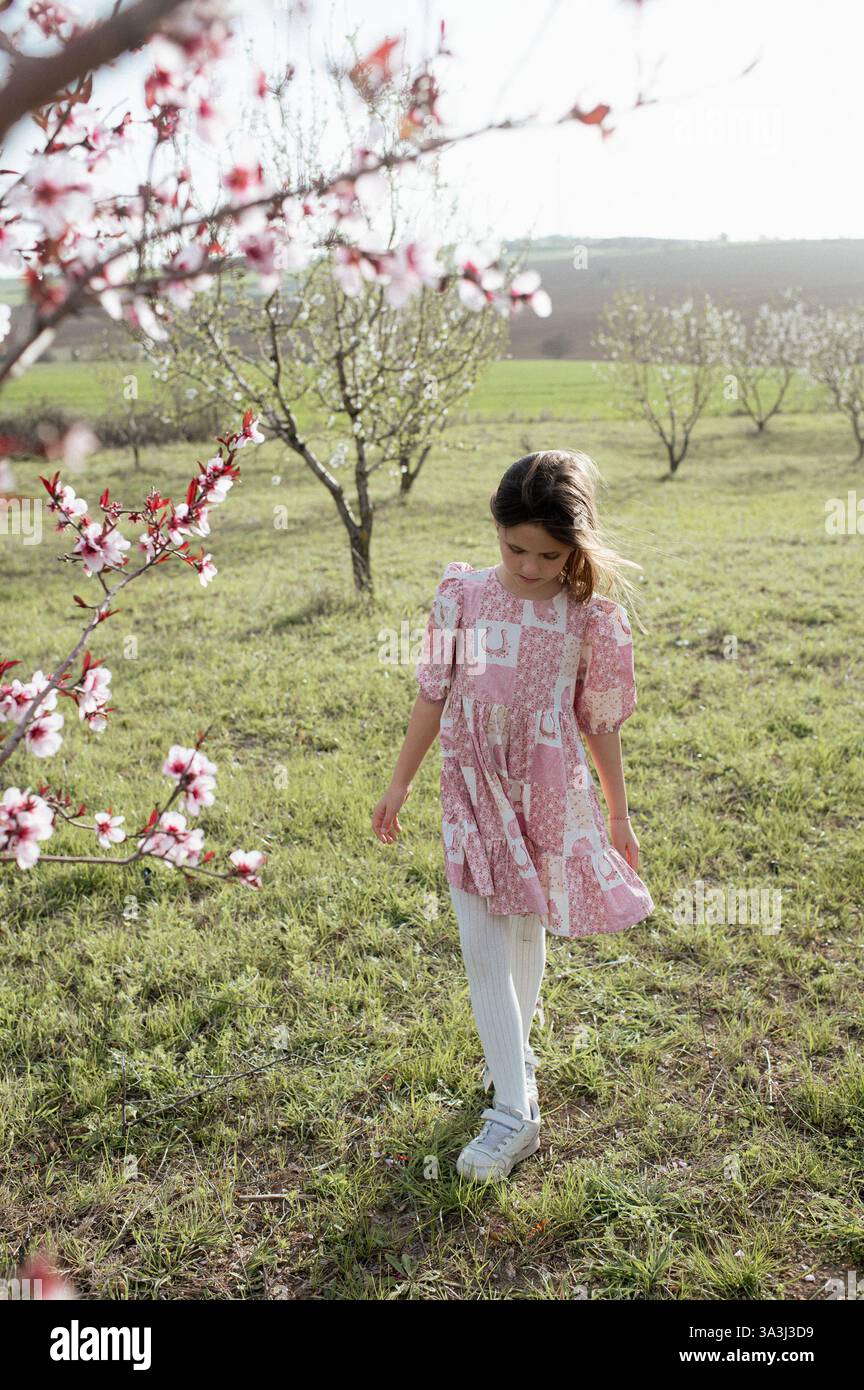 Ein fröhliches Mädchen spielt zwischen blühenden Mandelbäumen, ihr Lachen erfüllt die Frühlingsluft. Stockfoto