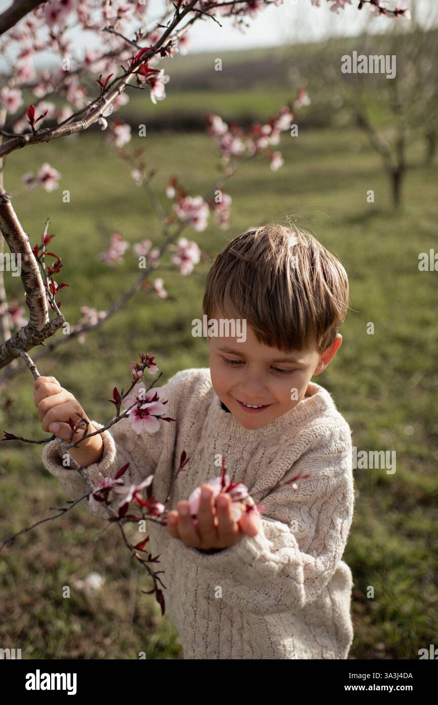 Ein Junge sitzt unter einem blühenden Mandelbaum, pflückt frische Mandeln und hält sie in seinen Händen. Stockfoto