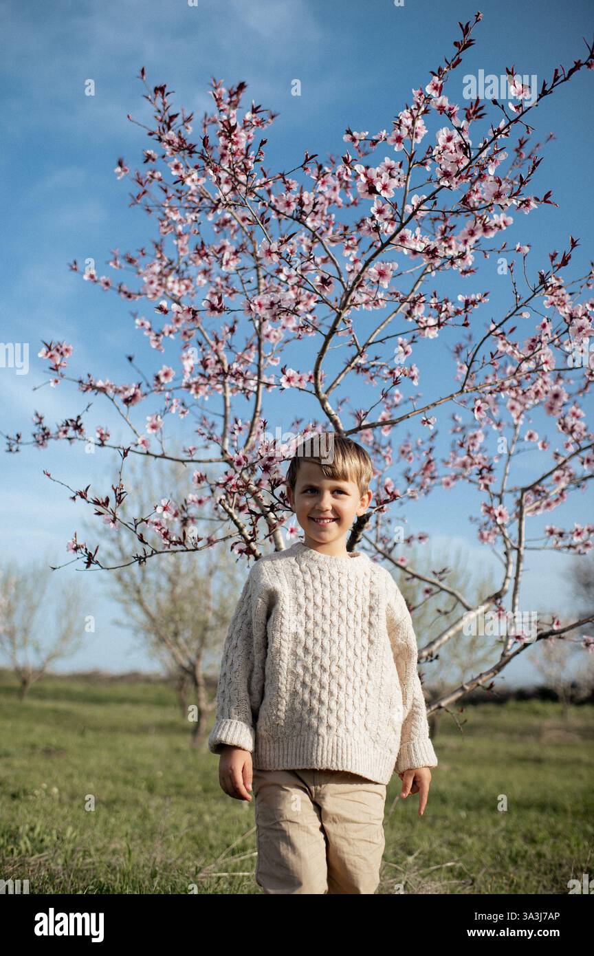 Ein Junge sitzt unter einem blühenden Mandelbaum, pflückt frische Mandeln und hält sie in seinen Händen. Stockfoto