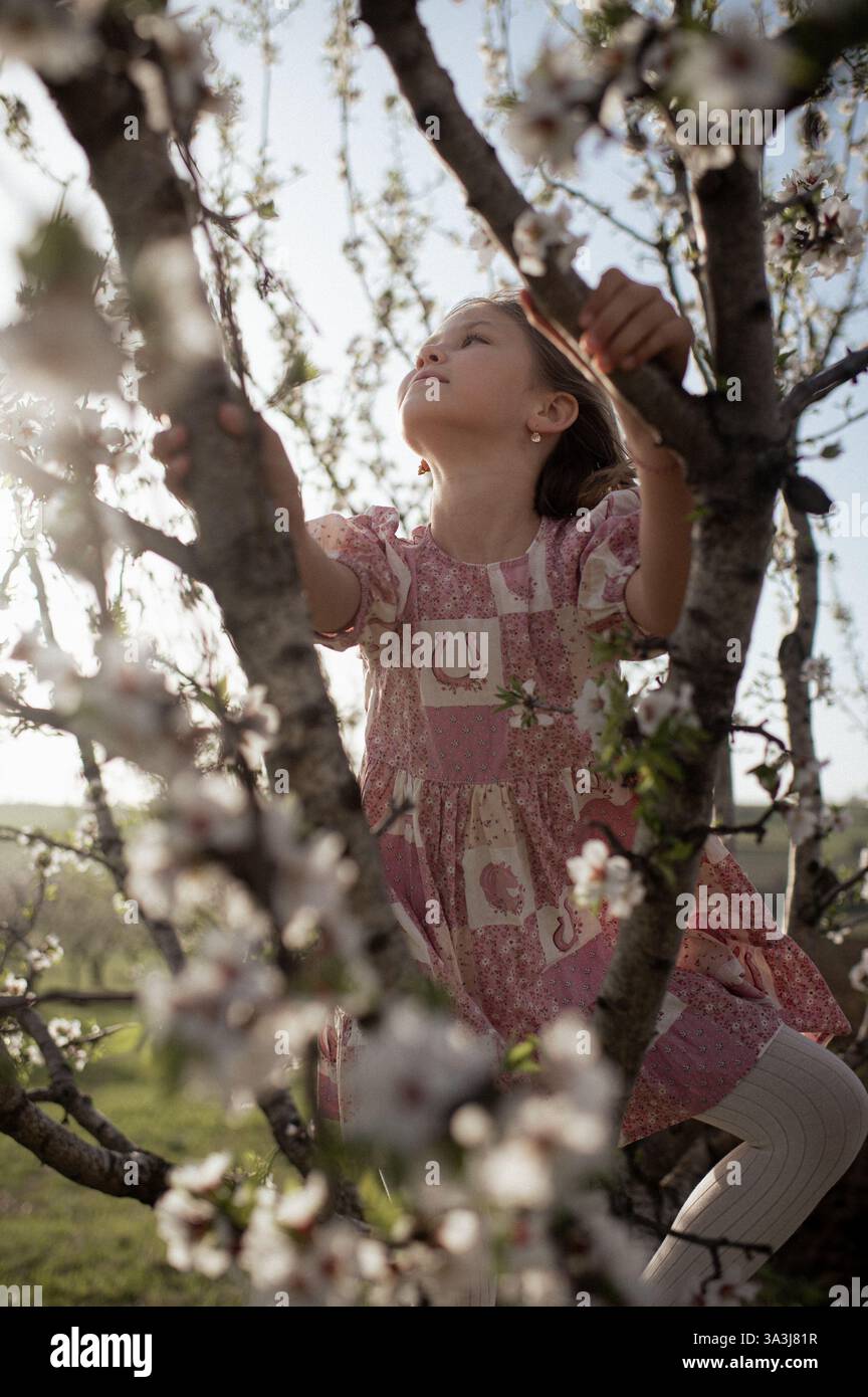 Ein fröhliches Mädchen spielt zwischen blühenden Mandelbäumen, ihr Lachen erfüllt die Frühlingsluft. Stockfoto