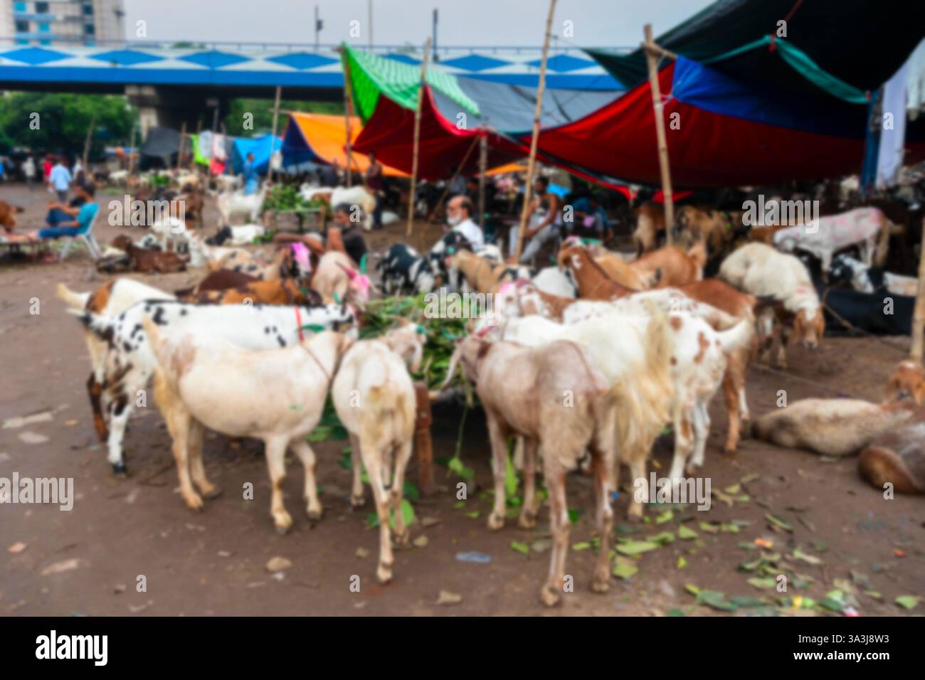 Verschwommenes Bild von Ziegen wird auf dem Markt während „Eid al-Adha“, „Feast of the Opferfice“, „Eid Qurban“ oder „Festival of the Opfergabe“ verkauft. Stockfoto