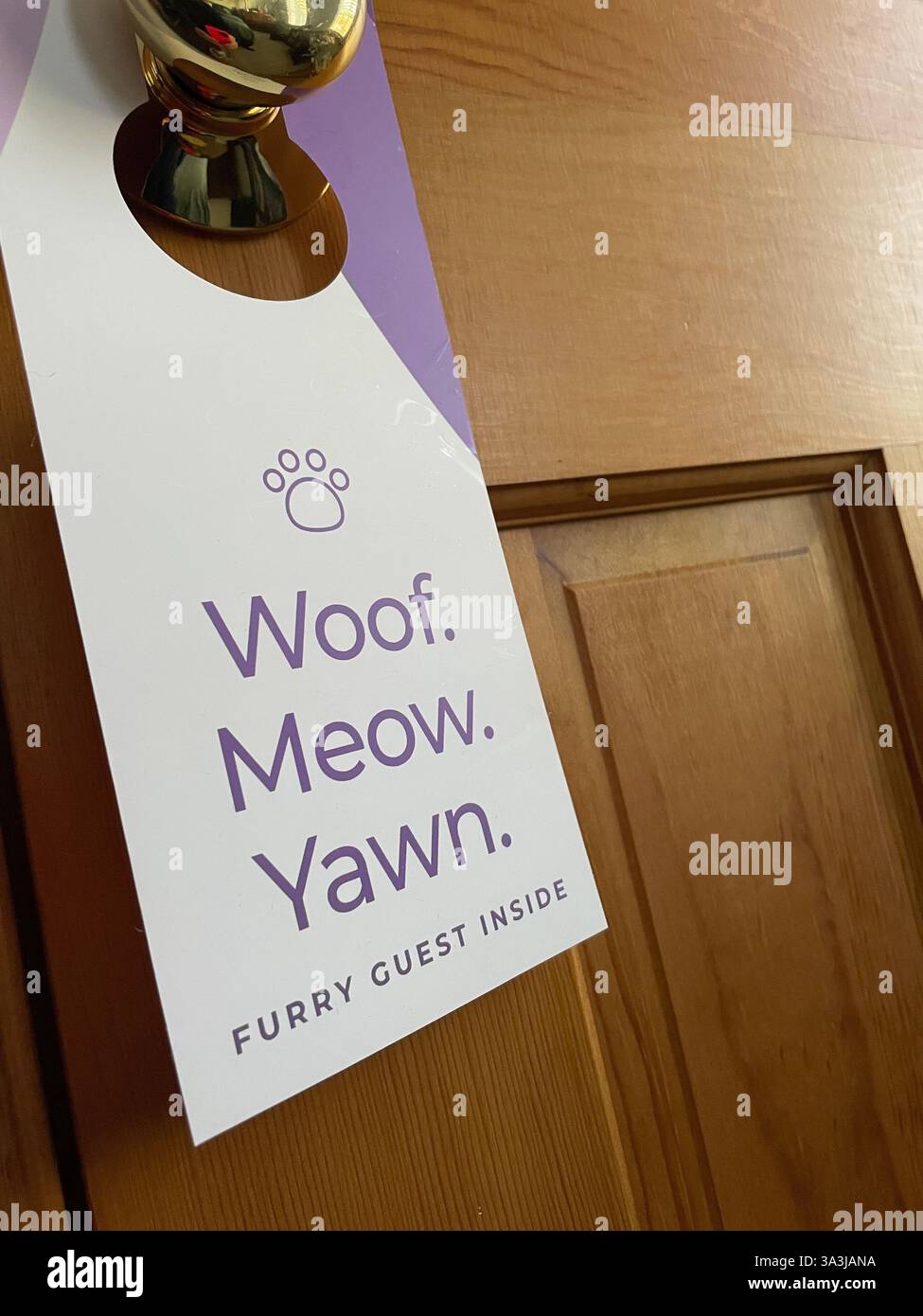 Humorvolles Door Hanging in einem haustierfreundlichen Zimmer, 2024, USA Stockfoto
